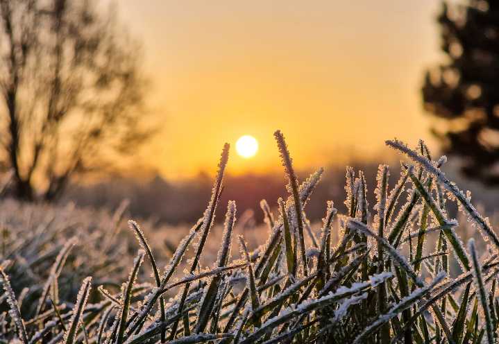Weather Michigan braces for widespread frost, freezing temperatures