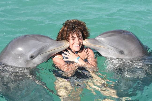 The Register: Rules for comments and forums • The Register