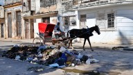 El Gobierno cubano reconoce un importante incremento en los casos de dengue, chikunguña y oropouche