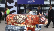 CowParade x Lala 2025 trae a Torreón la mayor expo de arte público mundial