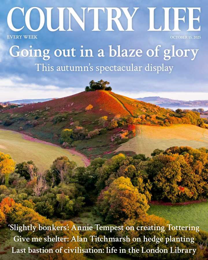 Country Life 15 October 2025