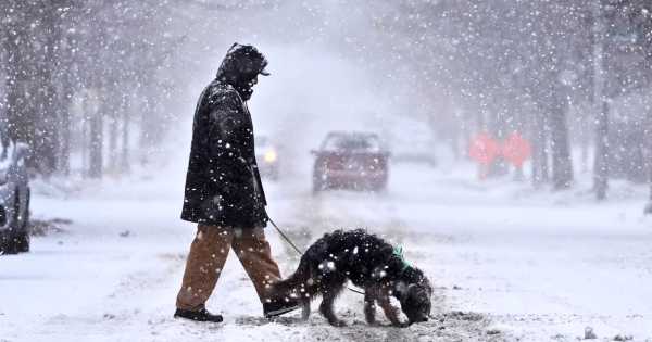 Estados Unidos en alerta | Pronostican nevadas severas para gran parte del país y preocupa a todos: habrá heladas históricas