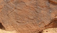 Descubren en Arabia Saudí arte rupestre de camellos de más de 12 mil años