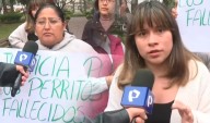 Denuncian que un polvo azul sería la causa del envenenamiento masivo de mascotas en San Isidro