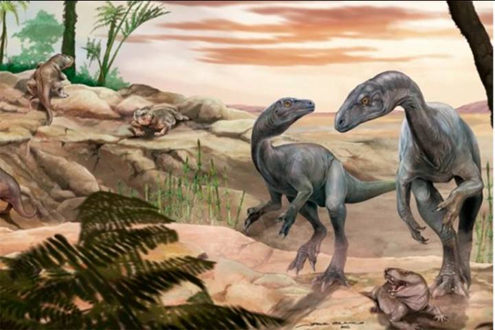 Científicos del CONICET hallaron restos de uno de los dinosaurios más antiguos del mundo