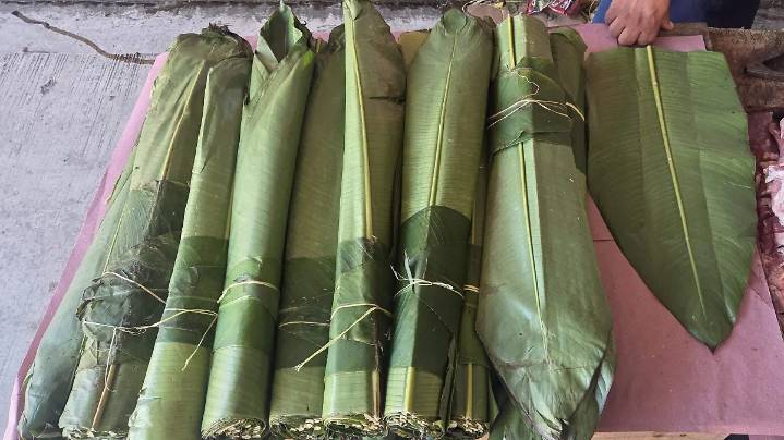 Hojas de papatla pueden sustituir a las hojas de plátano para los tamales