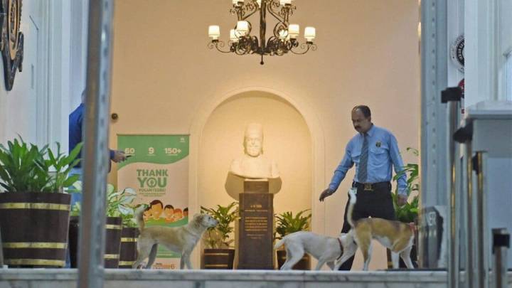 Bombay House: How A 1924 Building Became Tata Group's HQ, And A Shelter For Stray Dogs
