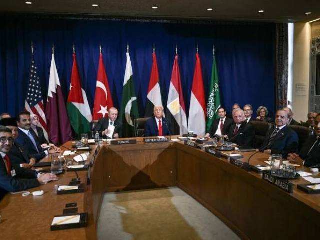 Muslim nations welcome Hamas steps on Gaza peace plan