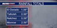 Strong Storms Brought Heavy Rainfall To The ArkLaMiss