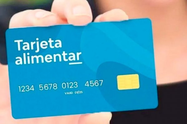 Confirmado: qué pasará con la Tarjeta Alimentar de ANSES en noviembre 2025
