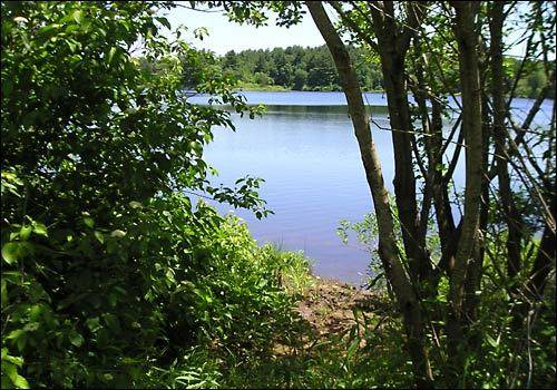 'Partial human remains' found in lake at park in Mansfield