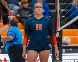 Volleyball: Jessica Dickow 'inspires' Naperville North