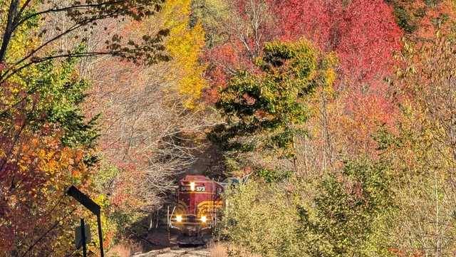 Survey: Despite drought, drop in visits from Canada, northern NH businesses report successful fall