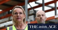 Sussan Ley Tomago visit: Opposition leader suggests Labor pressure forced smelter tour cancellation
