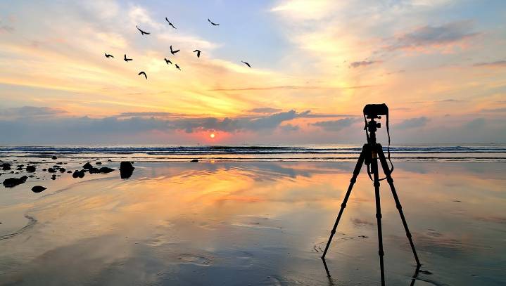 Award-Winning Nature Documentary Films Itself By Random Chance