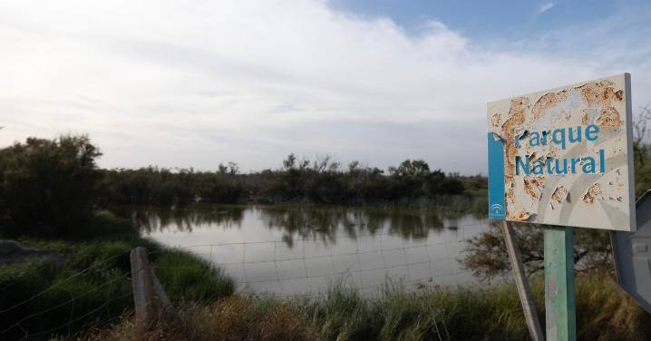 El Gobierno abre 37 denuncias por riego ilegal en Doñana durante la pasada campaña agrícola