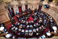 Cómo quedó conformado el Senado: uno por uno, los 72 legisladores que asumirán en diciembre