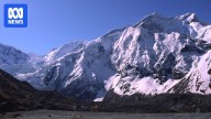 Australian climber dies on Nepal's Himlung Himal