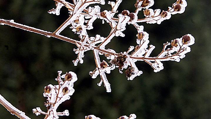 When will Gaston County get its first frost in 2025