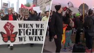 Broadview protests continue ahead of ‘No Kings’ rallies