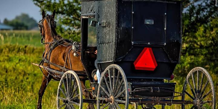 19-year-old Amish man killed in Ky. crash involving van, buggy