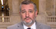 Ted Cruz says government shutdown inflicting pain on federal workers "for no point whatsoever"