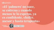 Los 'palmeros' de las mujeres poderosas de Mallorca