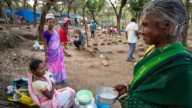 This Chhattisgarh tribal community celebrates Diwali feeding rice beer to cows, bulls