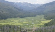 Federal judge nixes fish swapping plan in Absaroka