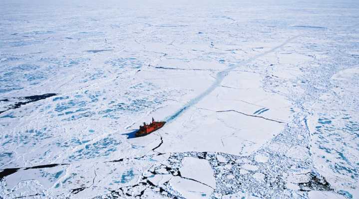 “Vida bajo cero: descubren algas que se mueven a -15 °C en el hielo del Ártico”