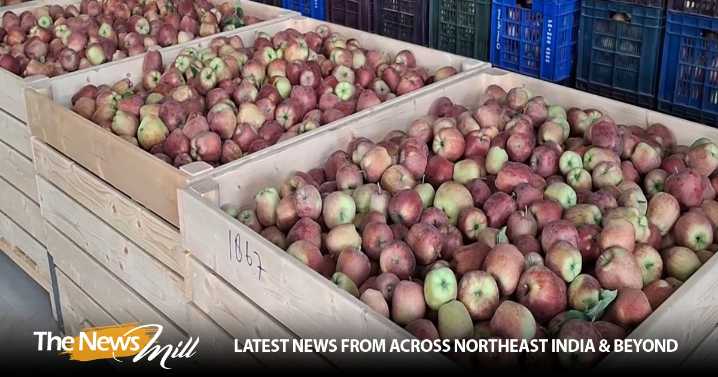 Cold storage facilities save South Kashmir apple growers from heavy losses after highway closure