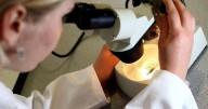 After cuts to research funding, Trump pledges millions for pediatric cancer initiative involving AI