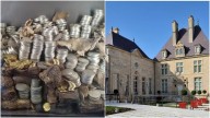 Roban colección de monedas en museo francés, valuada en U$100 mil