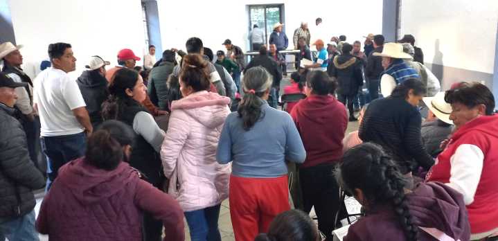 Afectados por plaga de mosco tomarán Cámara de Diputados