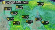 Snow, gusty winds on the Prairies will impede Thanksgiving travel