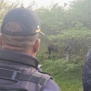 Hallan cuerpo en descomposición en terreno de Los Lanceros