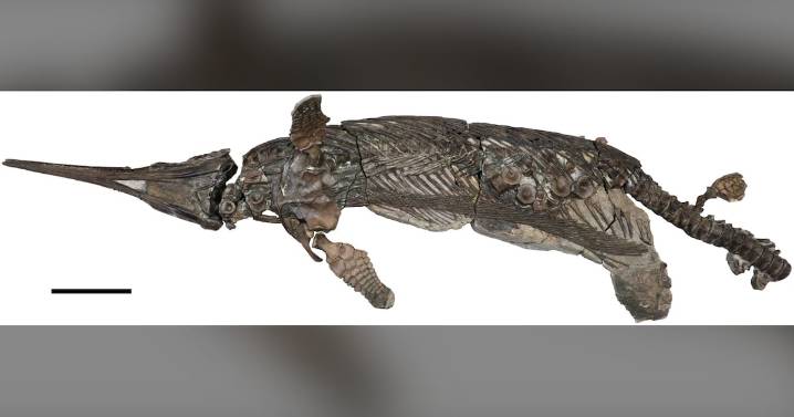 New dinosaur discovered: 'Sword dragon of Dorset'