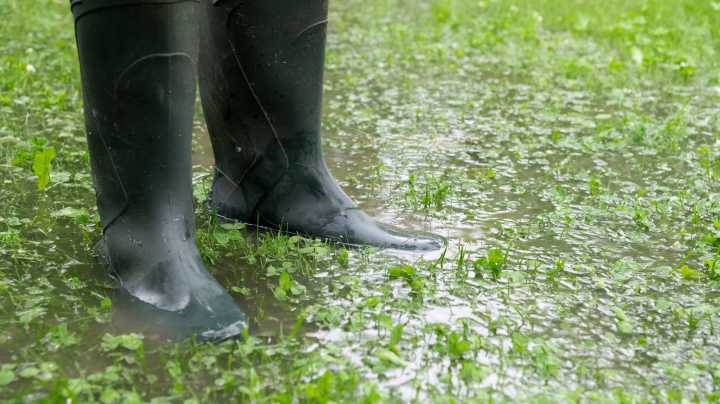 The Smart Solution To Prevent Erosion In Your Yard From Overflowing Storm Water