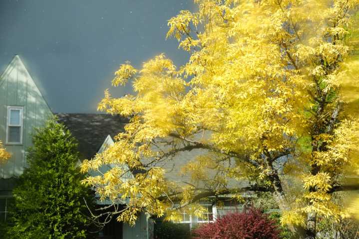 October begins with rain and stormy weather for Portland on Wednesday