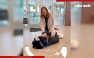 Perro huye de su casa en California y es encontrado a más de 3 mil km de distancia