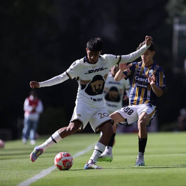 Una derrota más para Atlético de San Luis Sub