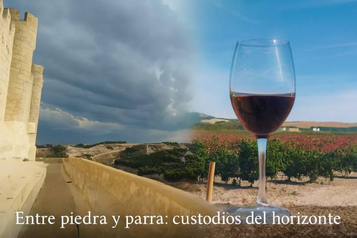 Entre viñas y moléculas La Milla de Oro del Vino Valladolid canta su historia en cada copa