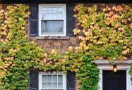 The Surprising Reason October Is the Perfect Time to Wash Your Windows