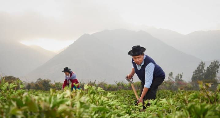 Perú impulsa acceso de productos agrícolas nacionales en 16 mercados internacionales