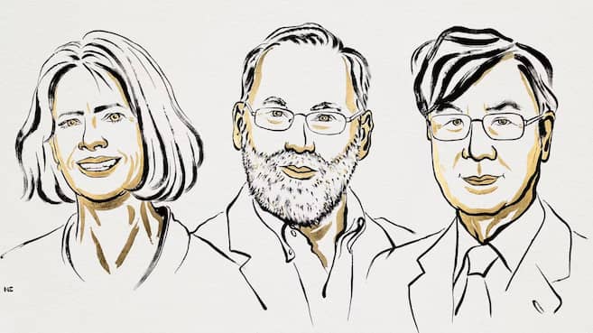 Premio Nobel de Medicina a tres científicos por sus hallazgos sobre el sistema inmune