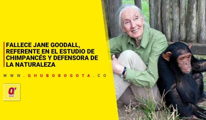 Fallece Jane Goodall, referente en el estudio de chimpancés y defensora de la naturaleza