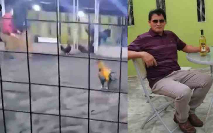 Hombre murió tras ser atacado por su propio gallo: la tragedia quedó grabada