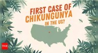 US reports first chikungunya case: 5 tips to protect your family