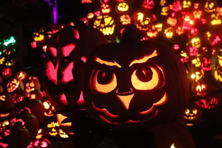 How a Louisville park transforms into a Halloween wonderland for the Jack O'Lantern Spectacular