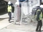 Tres hombres se hicieron pasar por obreros y robaron joyas por un valor de más de USD 3 millones en Nueva York